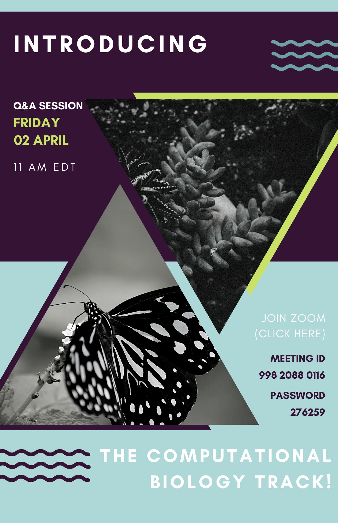 AY2021 Course Offerings Barnard Biology